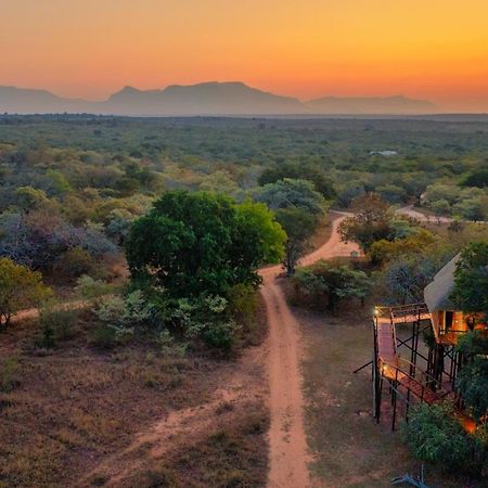 Pezulu Tree House Lodge هويدزبروت المظهر الخارجي الصورة