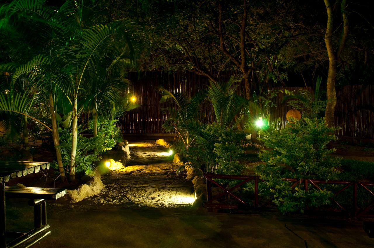 Pezulu Tree House Lodge هويدزبروت المظهر الخارجي الصورة