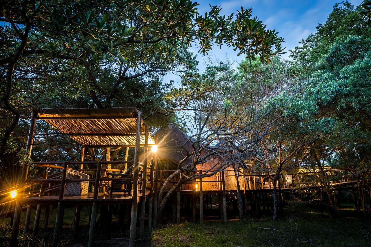 Pezulu Tree House Lodge هويدزبروت المظهر الخارجي الصورة