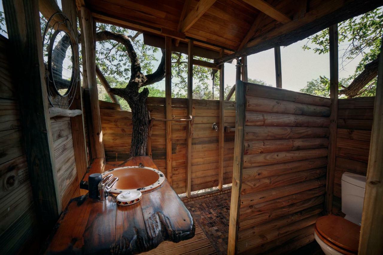 Pezulu Tree House Lodge هويدزبروت المظهر الخارجي الصورة