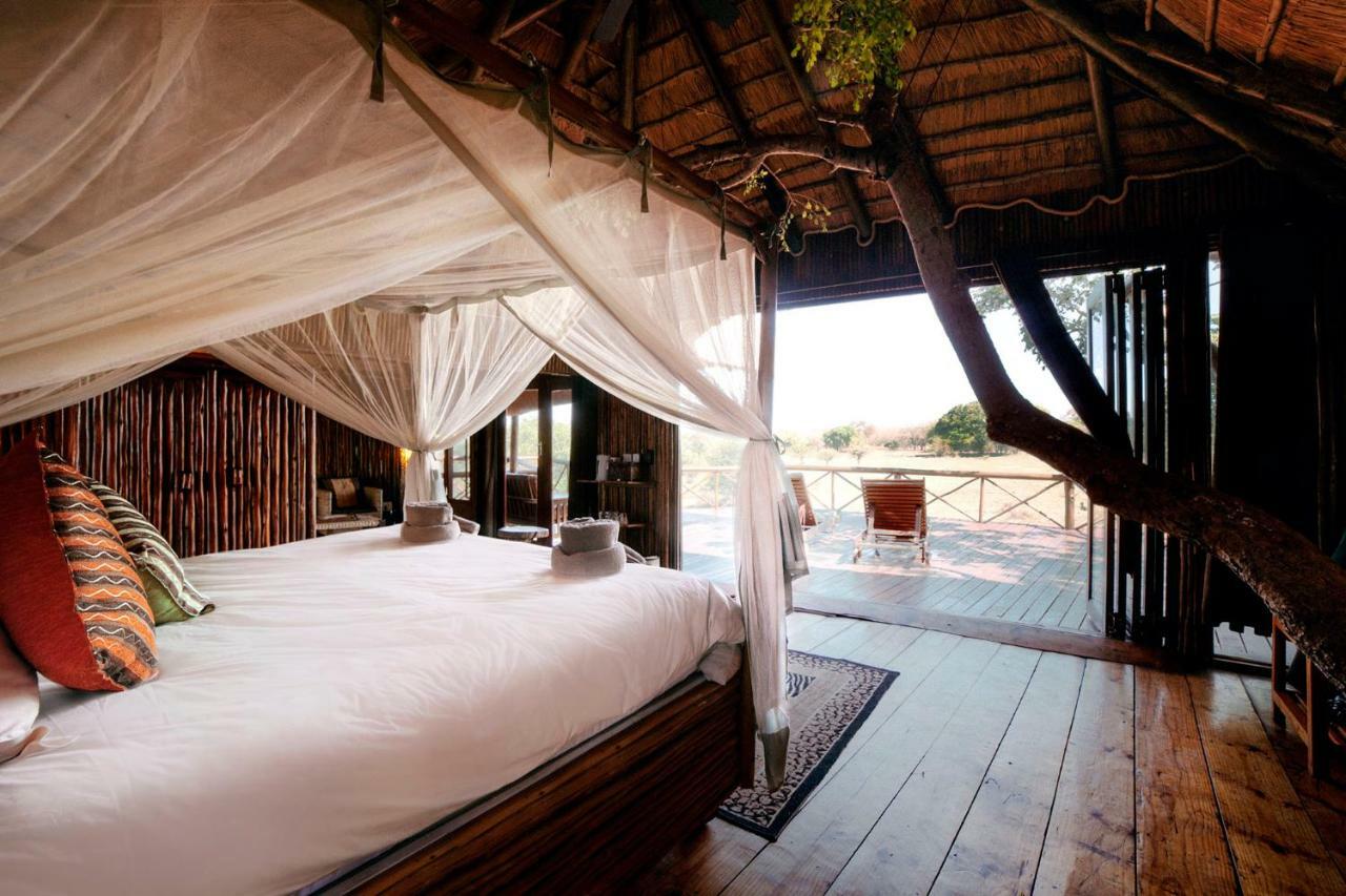 Pezulu Tree House Lodge هويدزبروت المظهر الخارجي الصورة