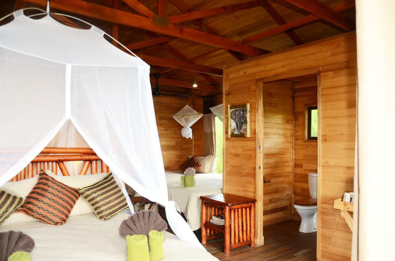 Pezulu Tree House Lodge هويدزبروت المظهر الخارجي الصورة